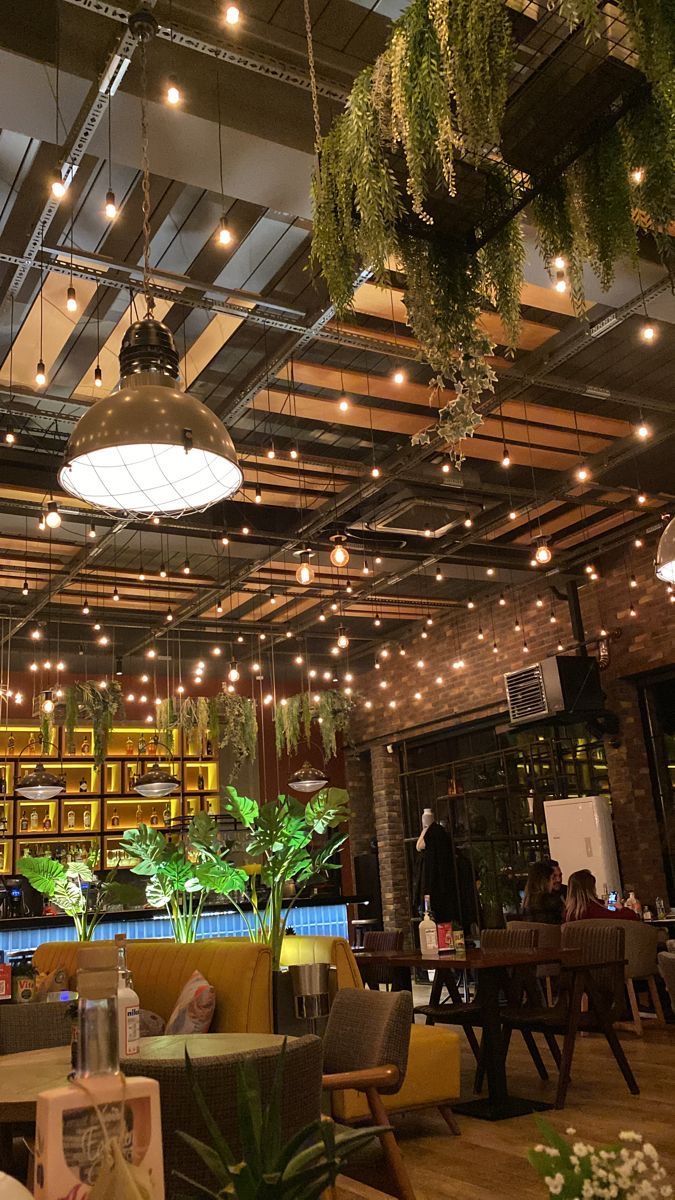 Terrasse végétalisée, bar d'été